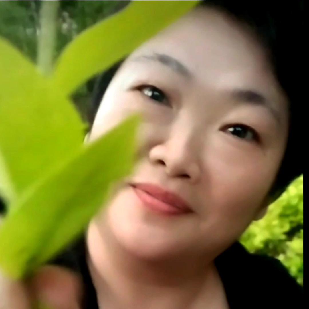 李艳
