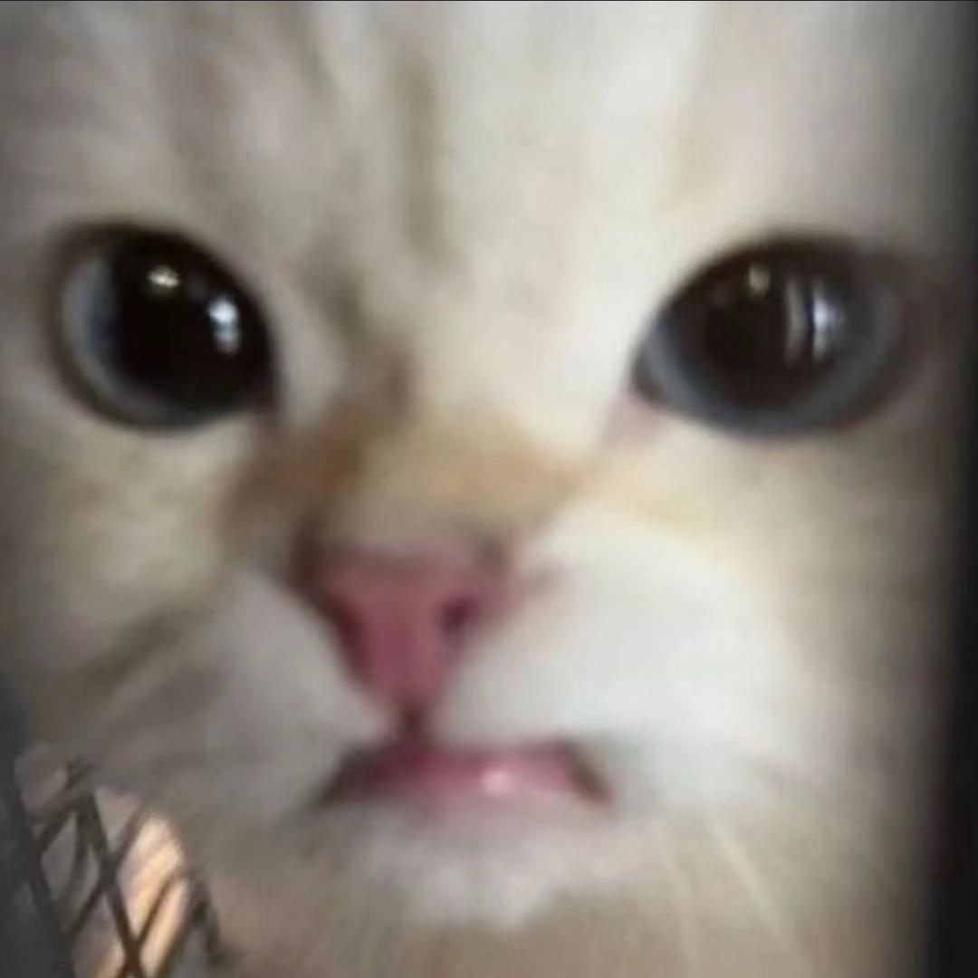 小轩^_^