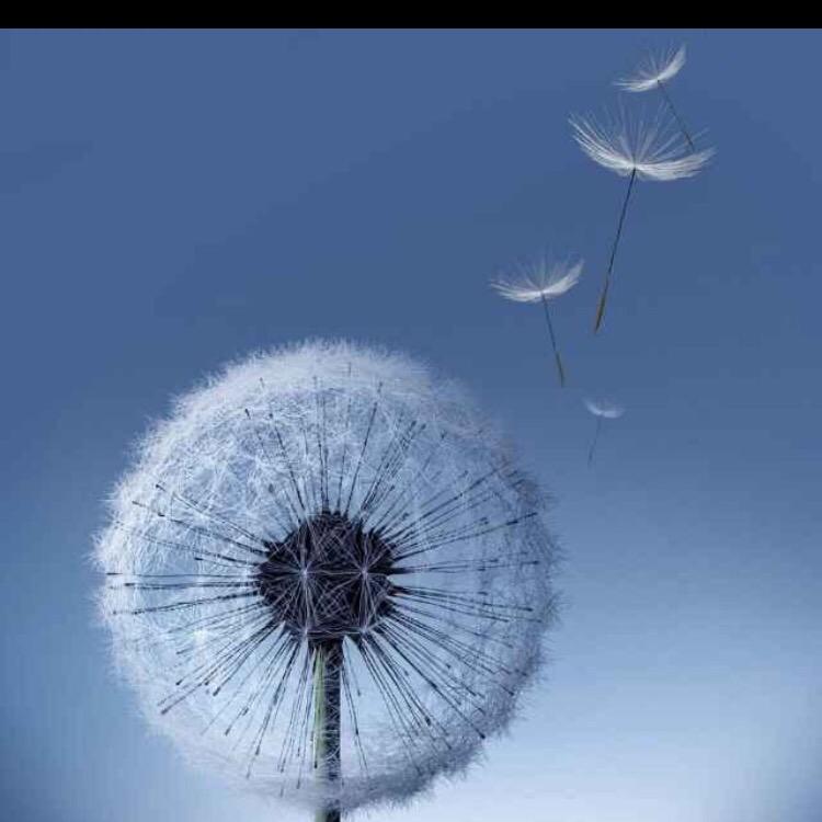 小小跑刀（三角洲行动）