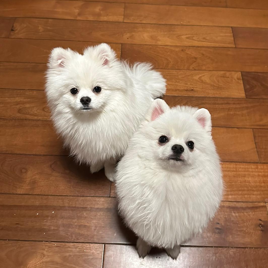 开开发发的宝藏