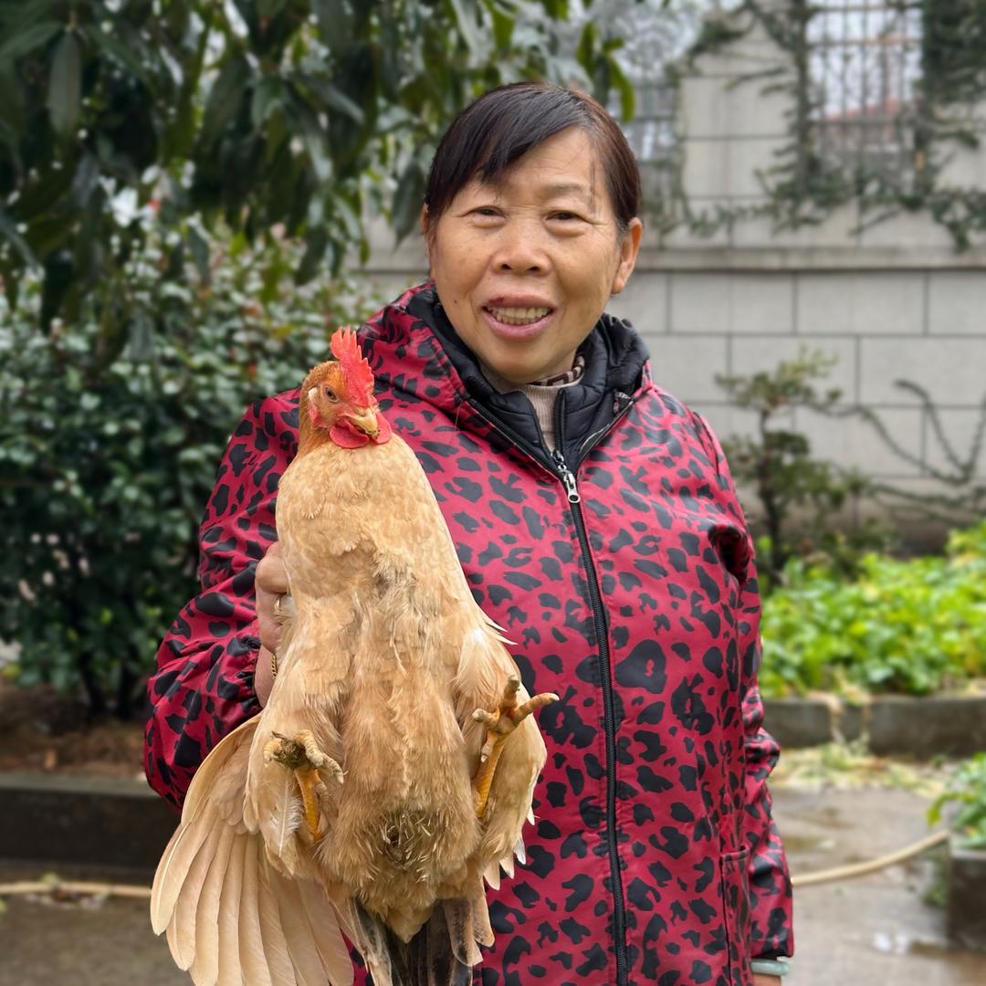 金妈的乡村生活