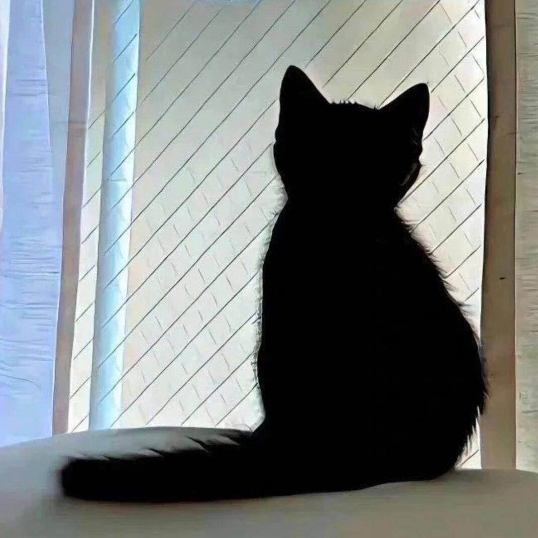 心晴
