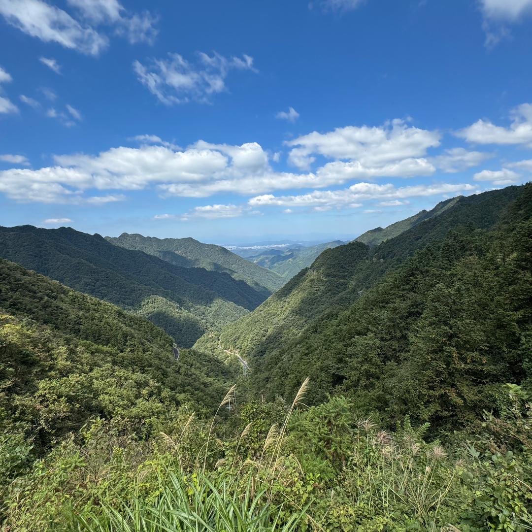 心淡如水