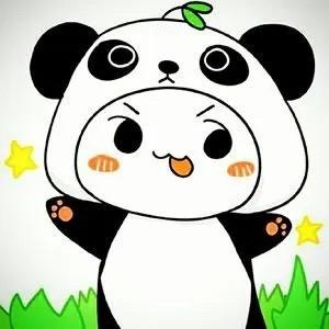 熊猫爱开派对