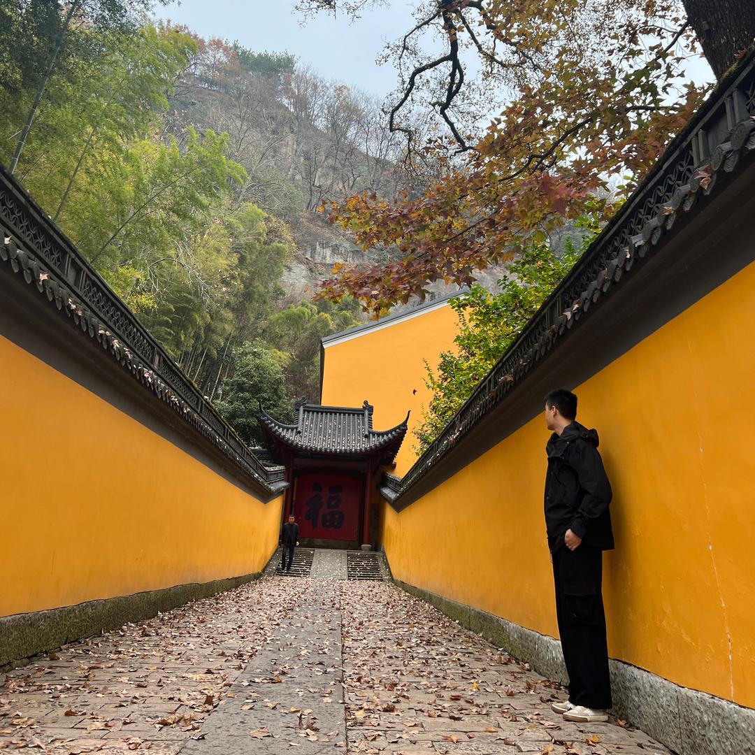 桂花载旧梦
