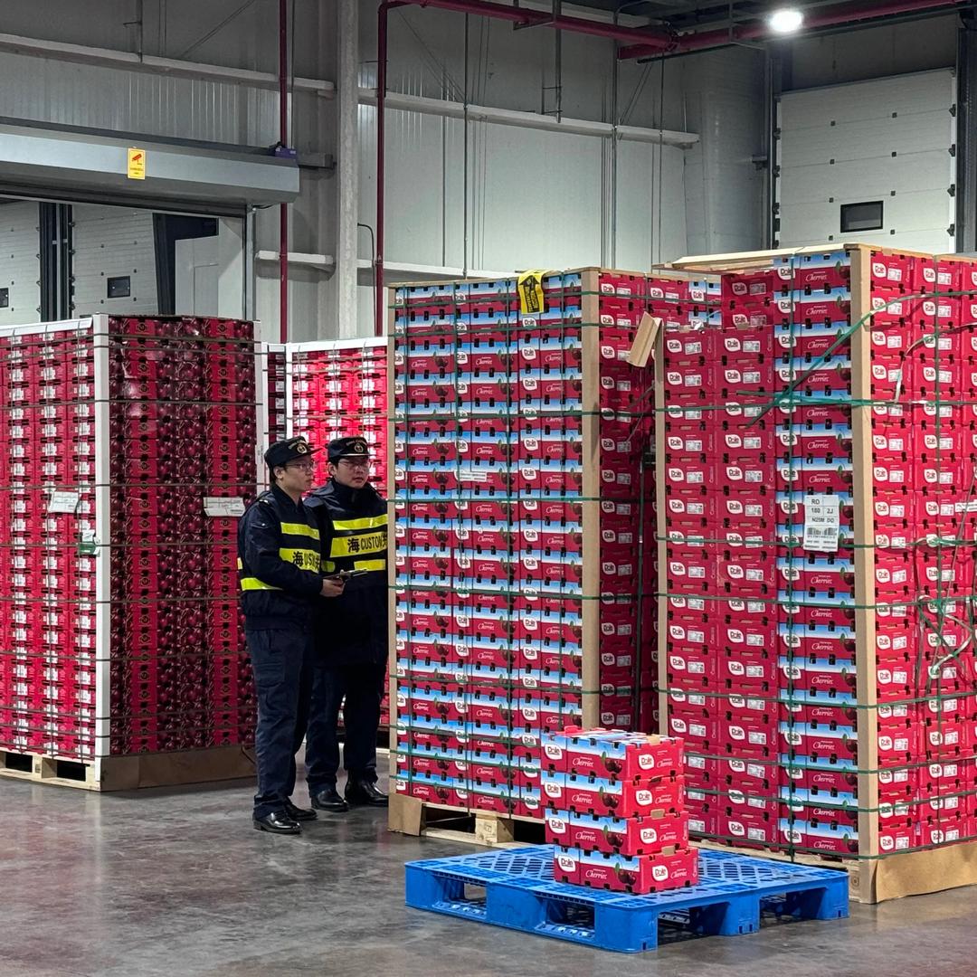 智利车厘子空运