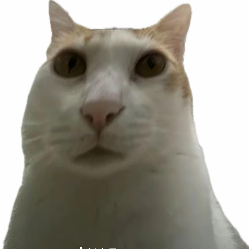 六月