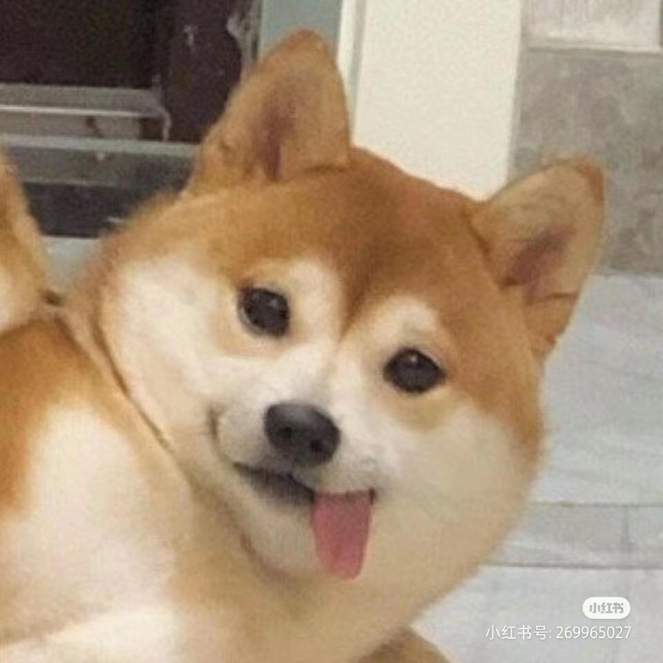 计量南极仙翁