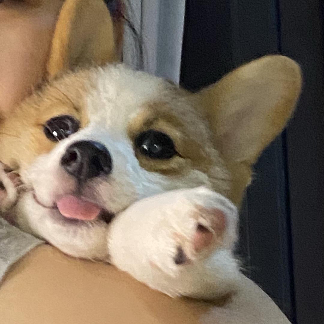 Yyy.