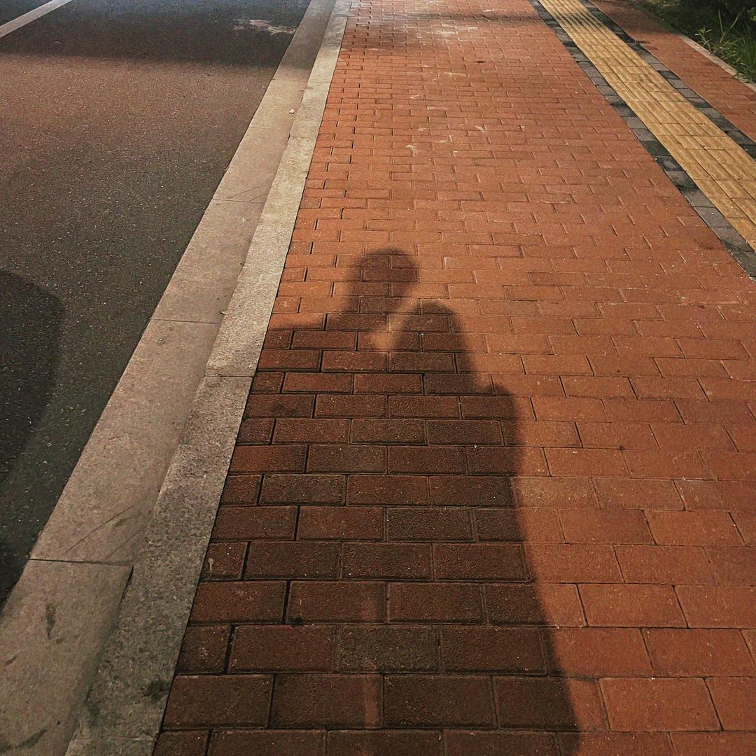 晨阳