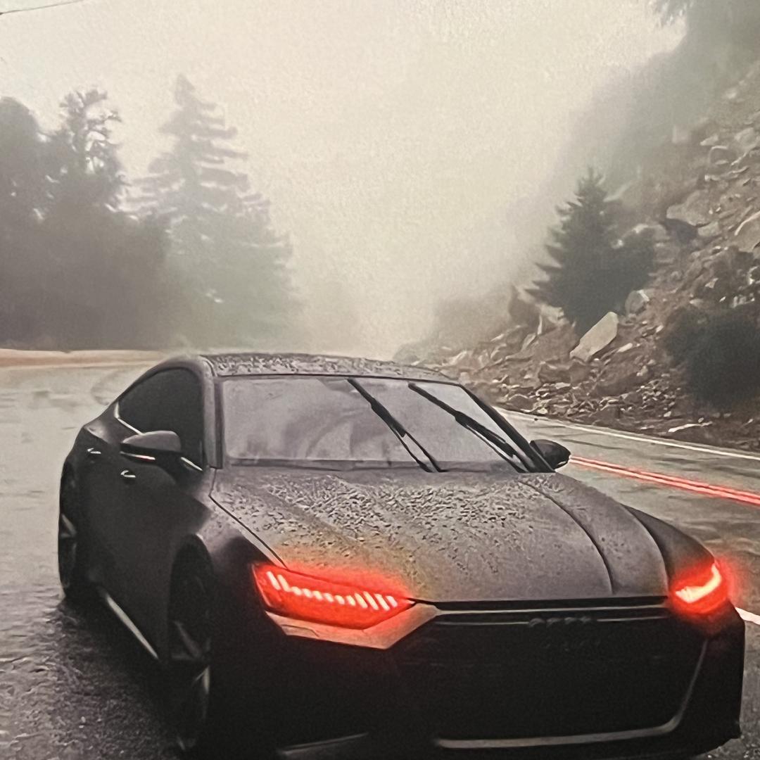 天弘二手车（大帥）