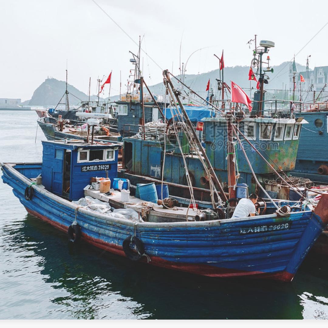 蝌蚪海产品商行