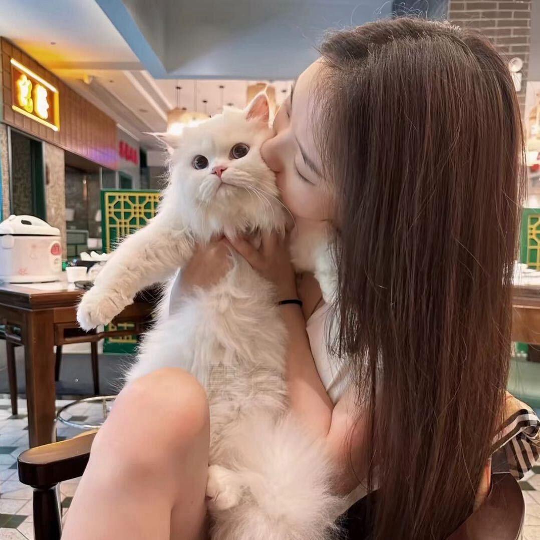 漁¹