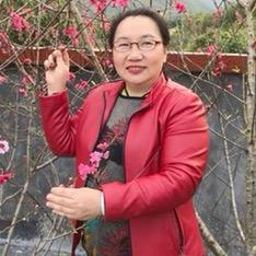 飞飞姐2