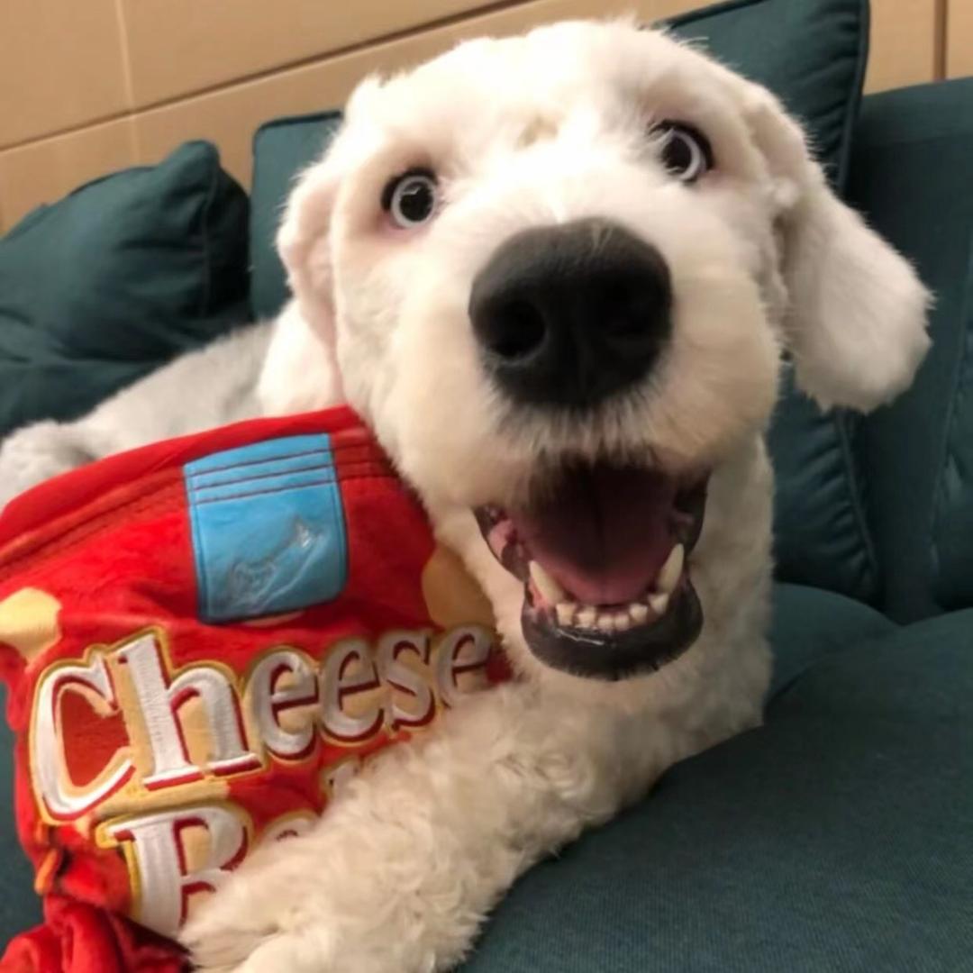 我让你三招又怎样