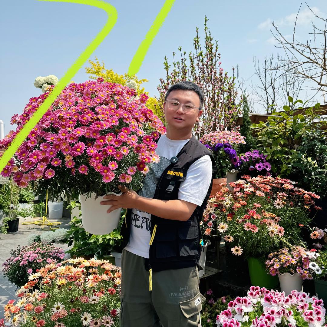 石头的花园