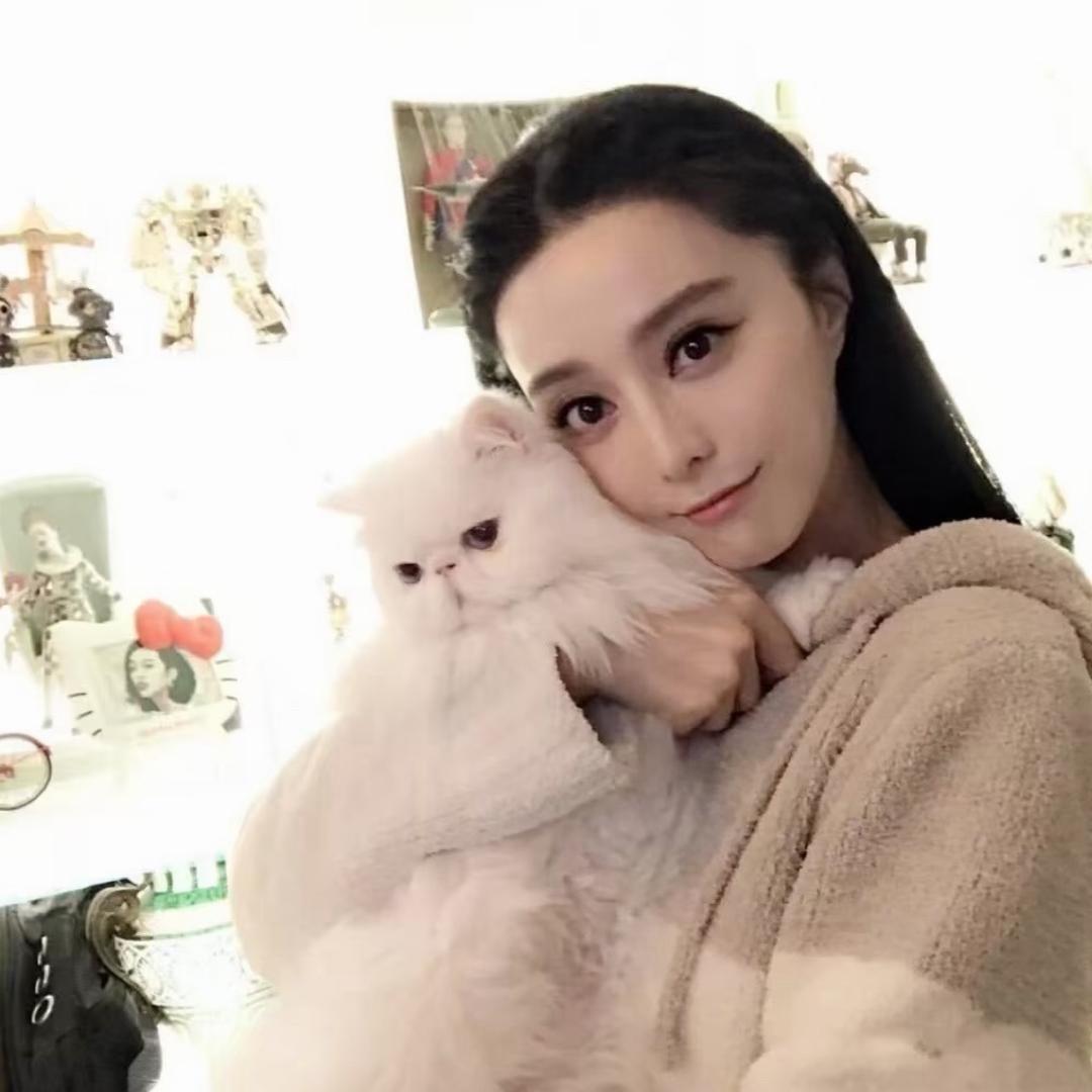 qq蹦