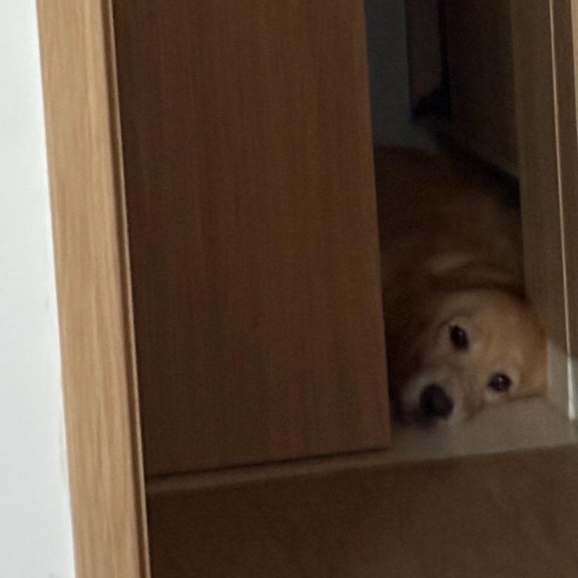 这个人10点睡的