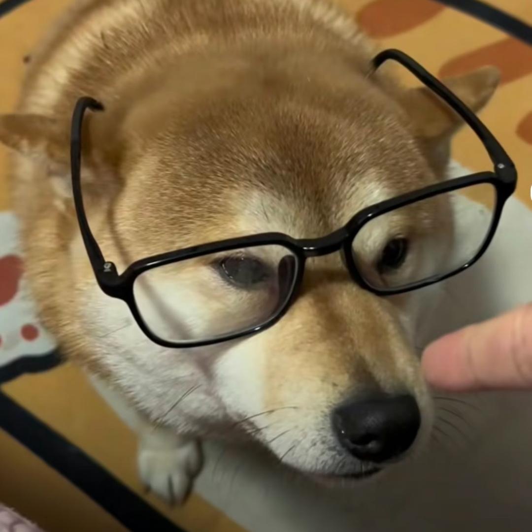 女明星啾啾的日常