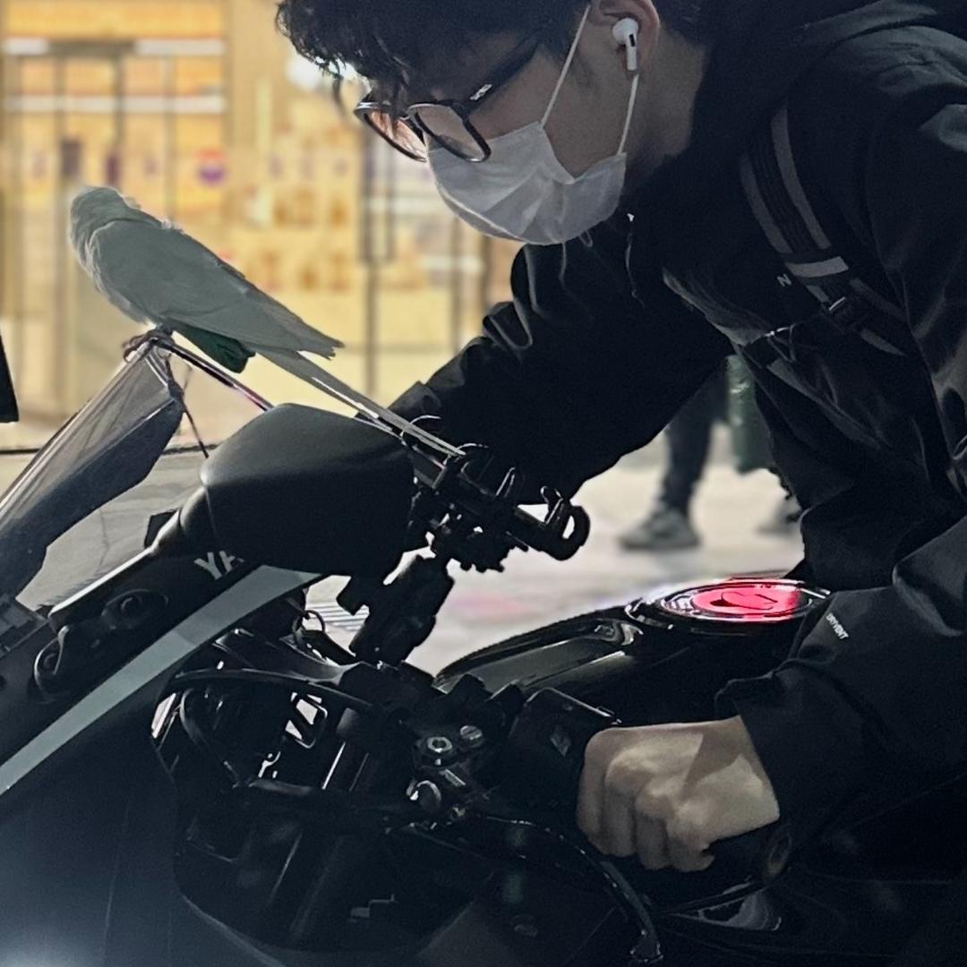 训鸟师小严798
