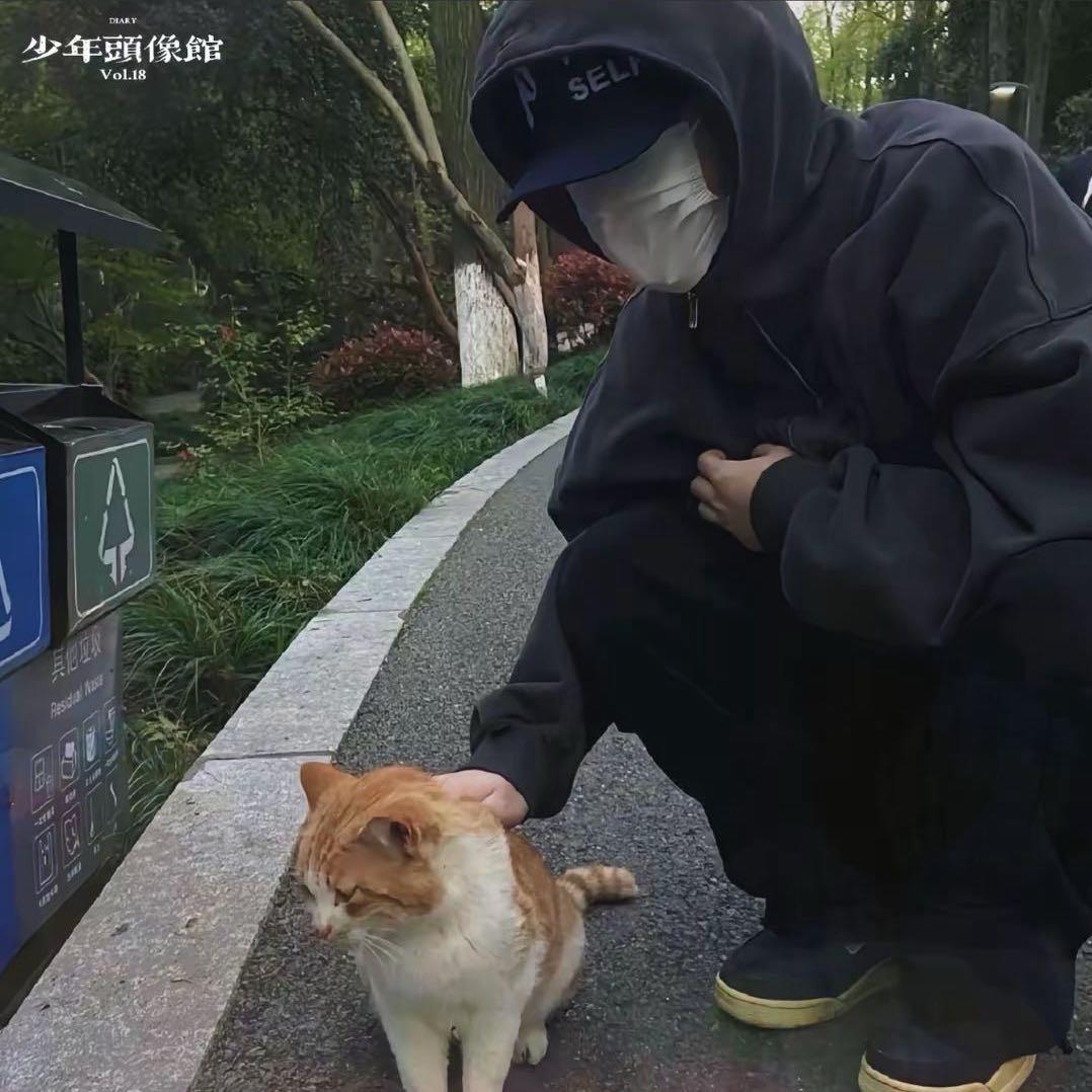 歌