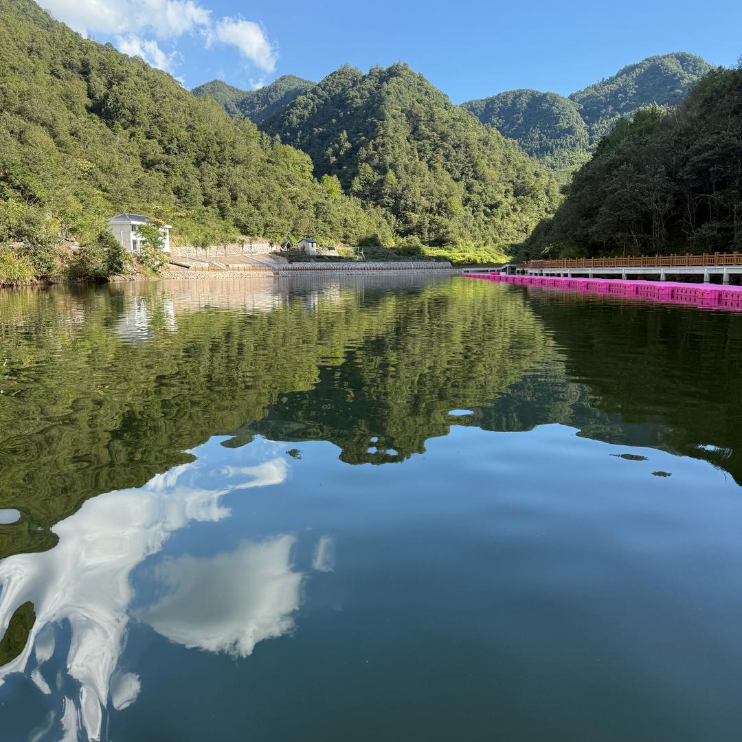 平坑水库-启帆高密度鲢鳙垂钓基地🎣