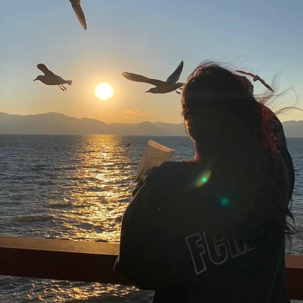 博瑾视界【文娱频道】