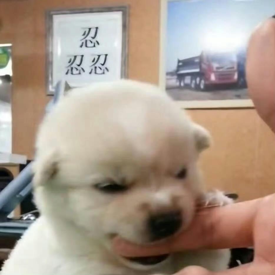 :-P