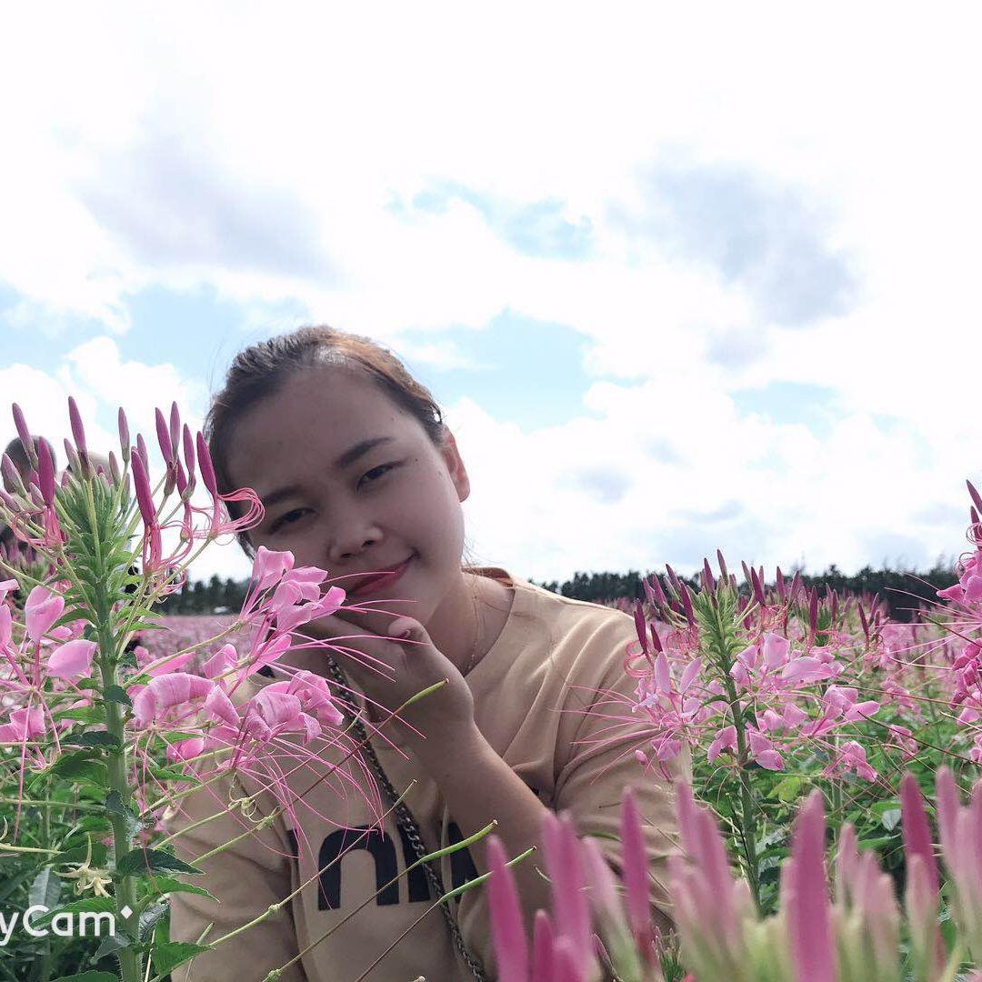 小小狮子🦁女