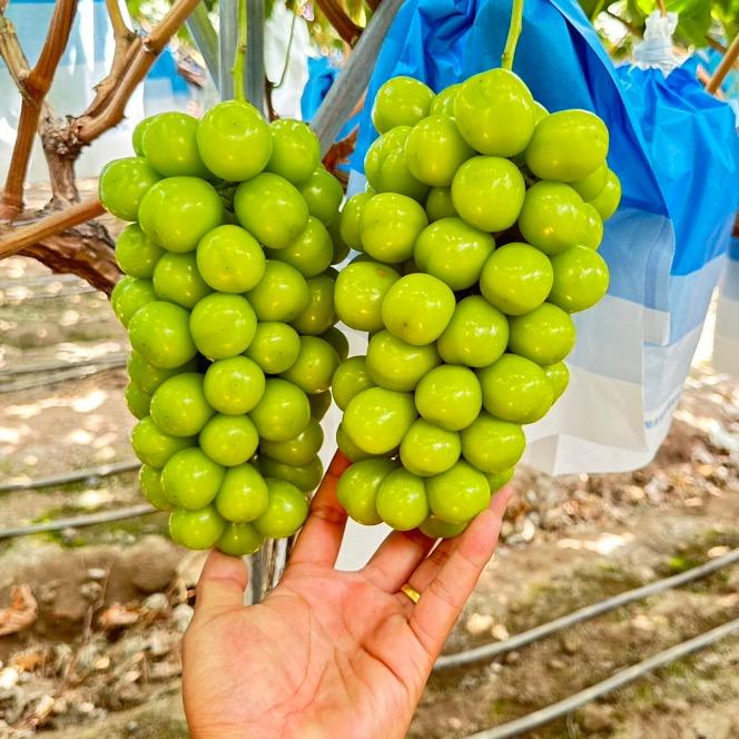 住在海边喜欢浪