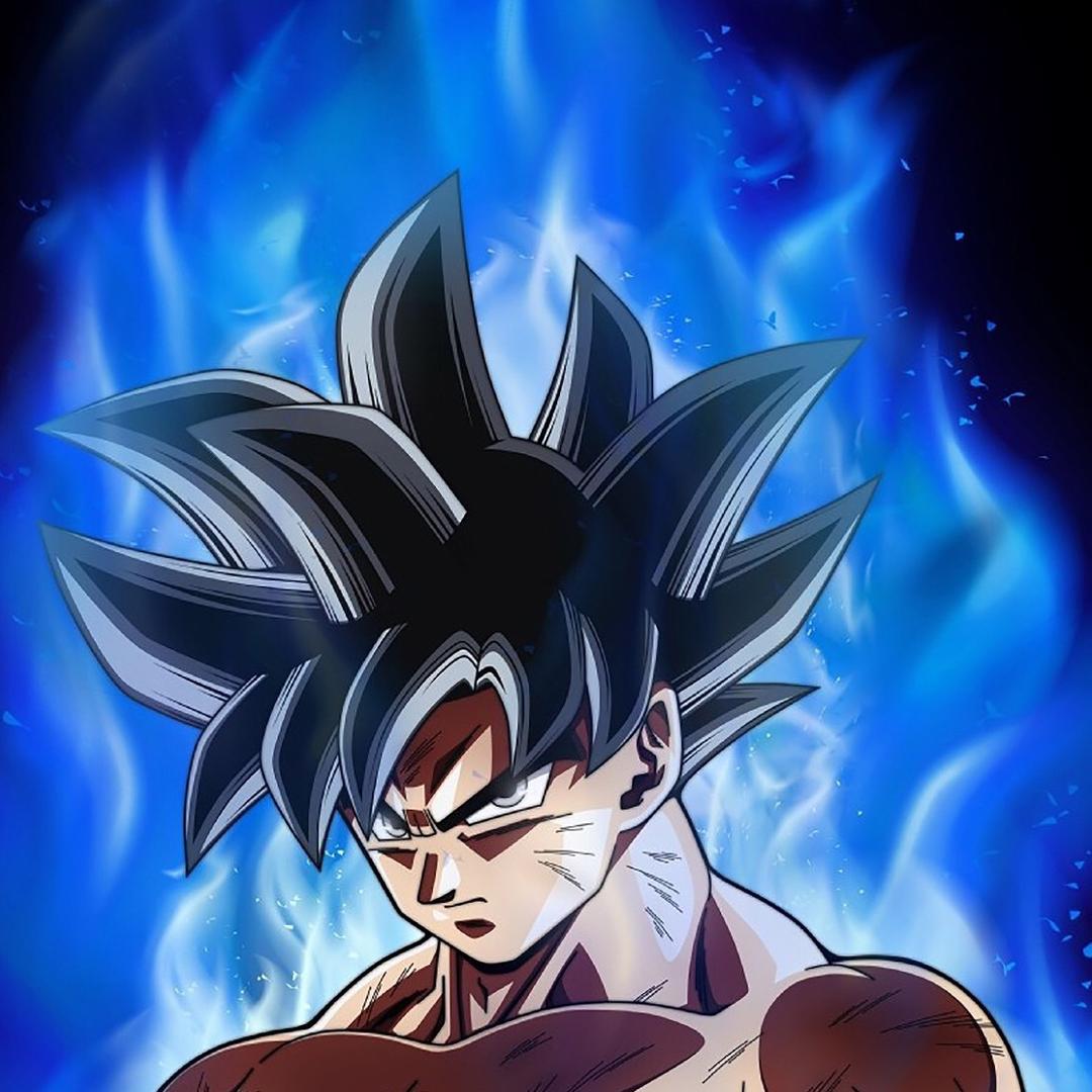 🌈🌈宝宝🪳巴士🌈🌈