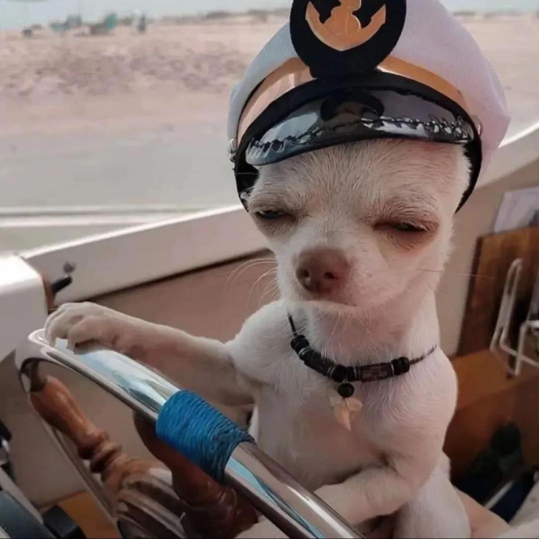 祭奠我死去的腿毛