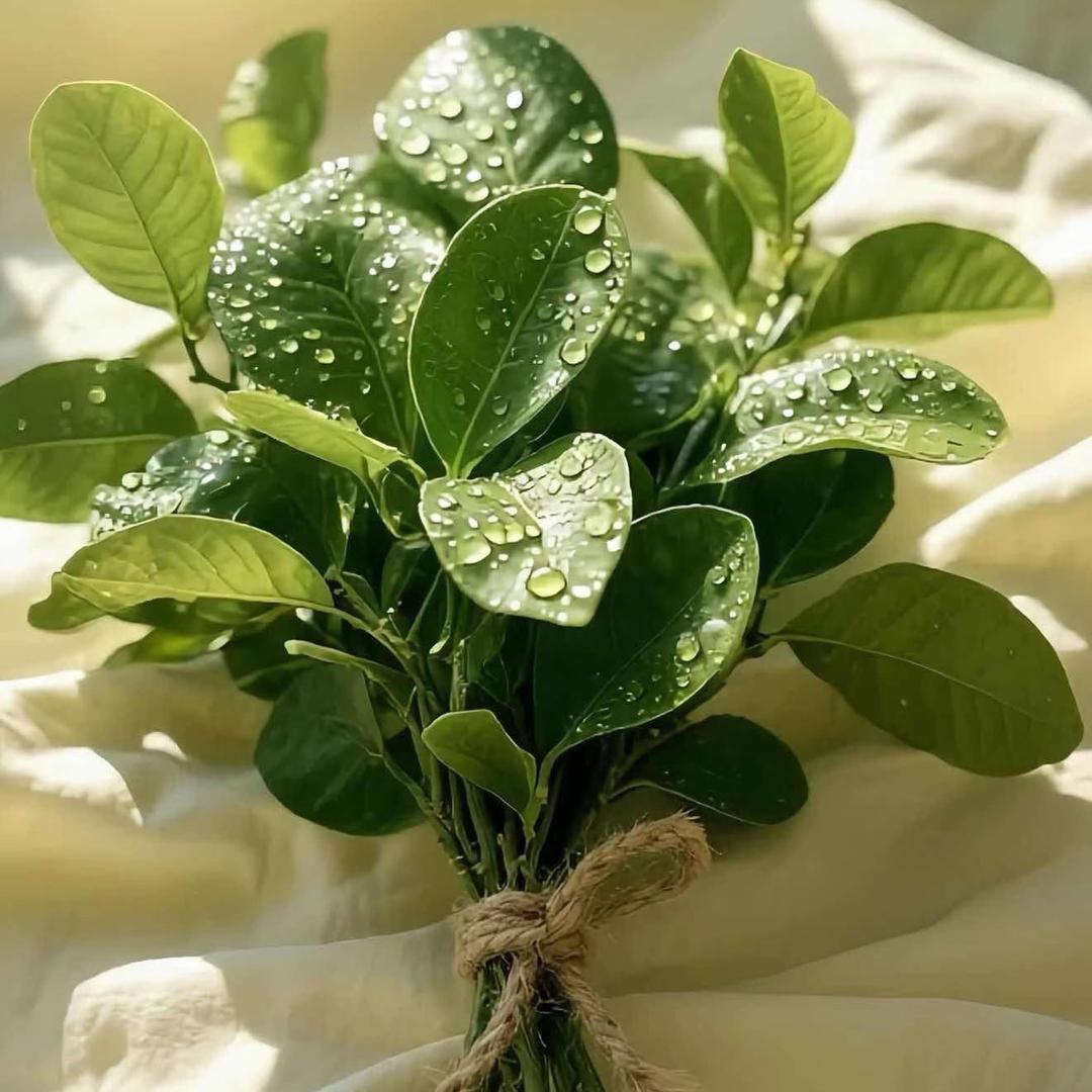 小小周𝒵𝒽𝓸𝓾 ᥫᩣ