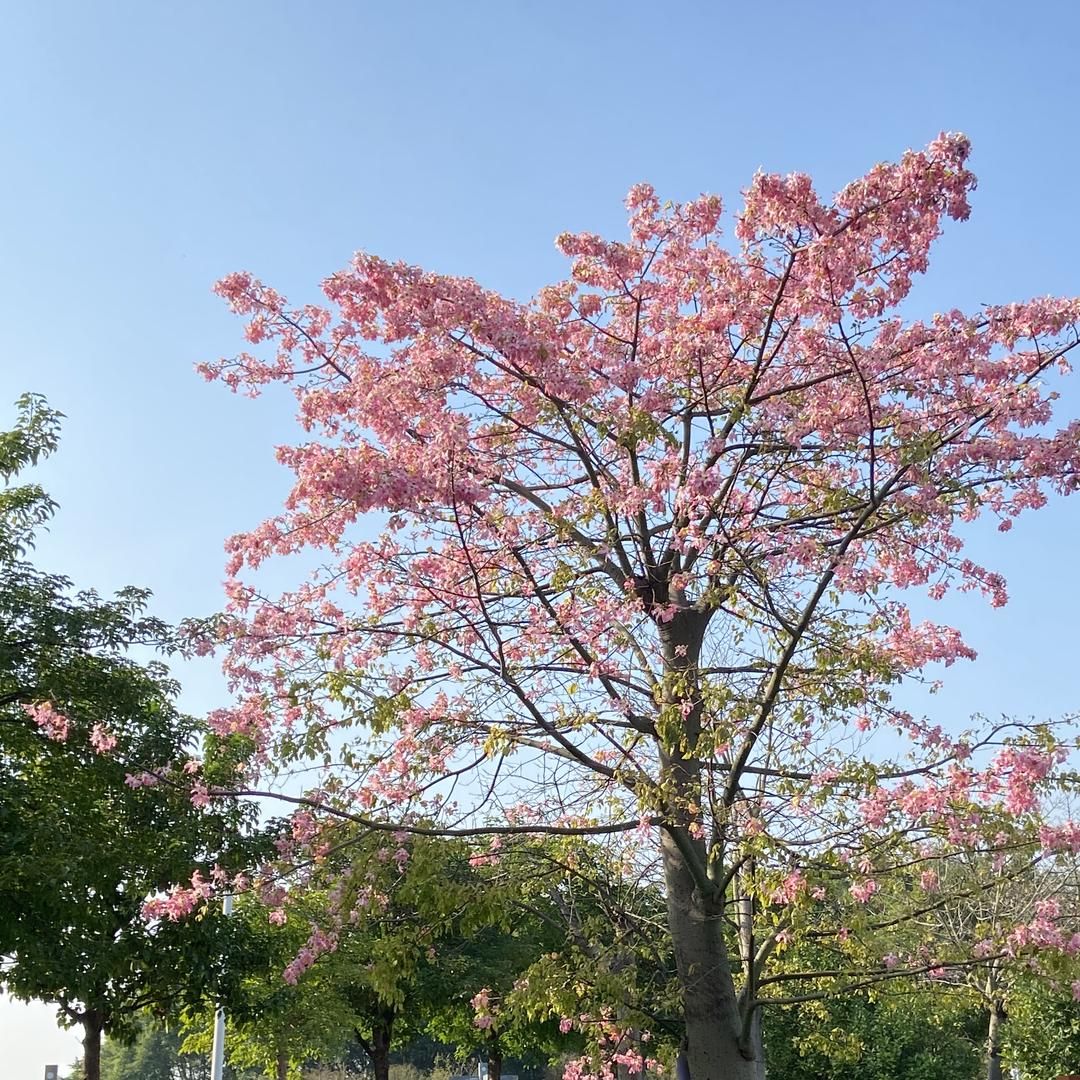 HAI服饰店 暖暖