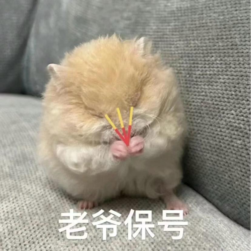 鲨鱼酷库(坚持版)