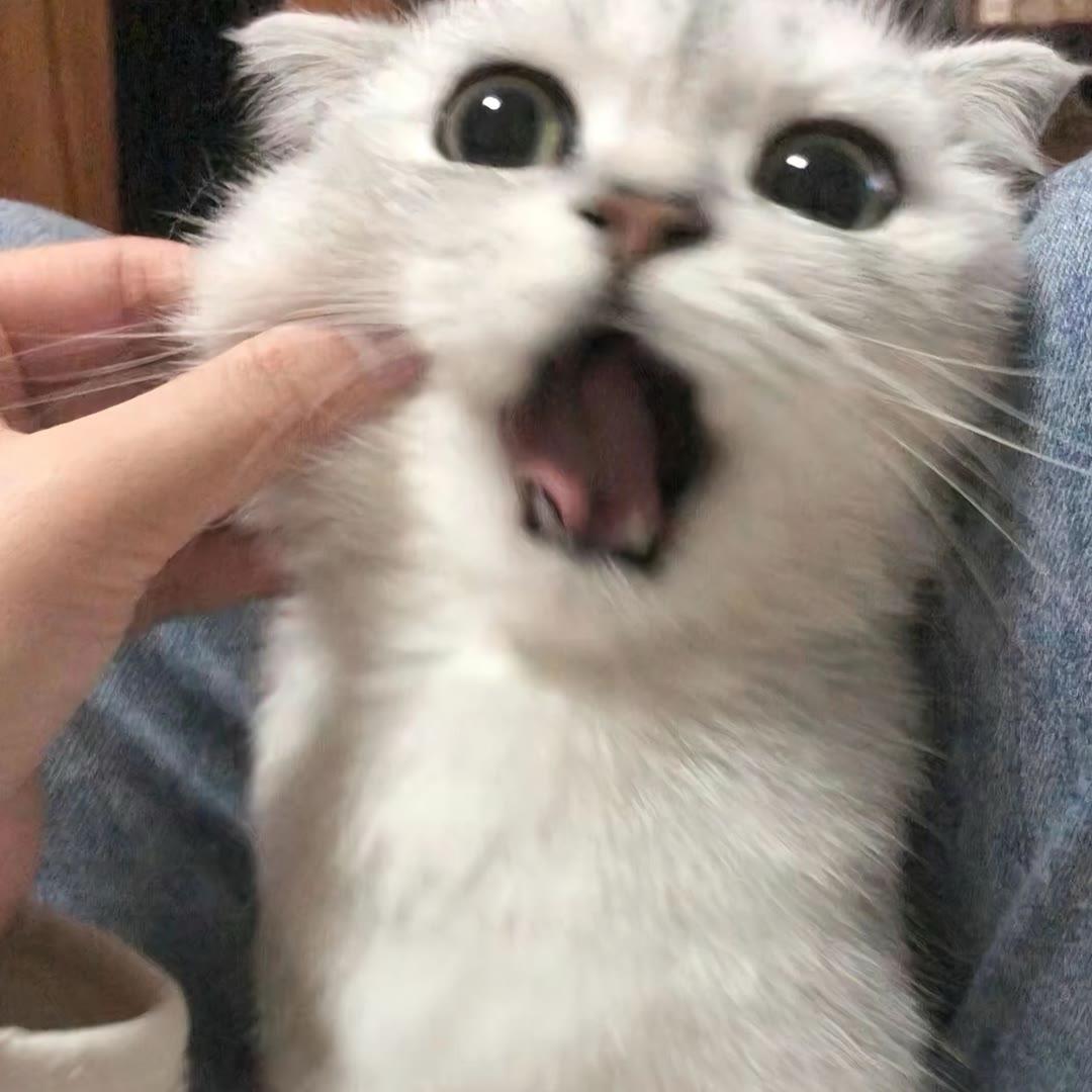 听🫧