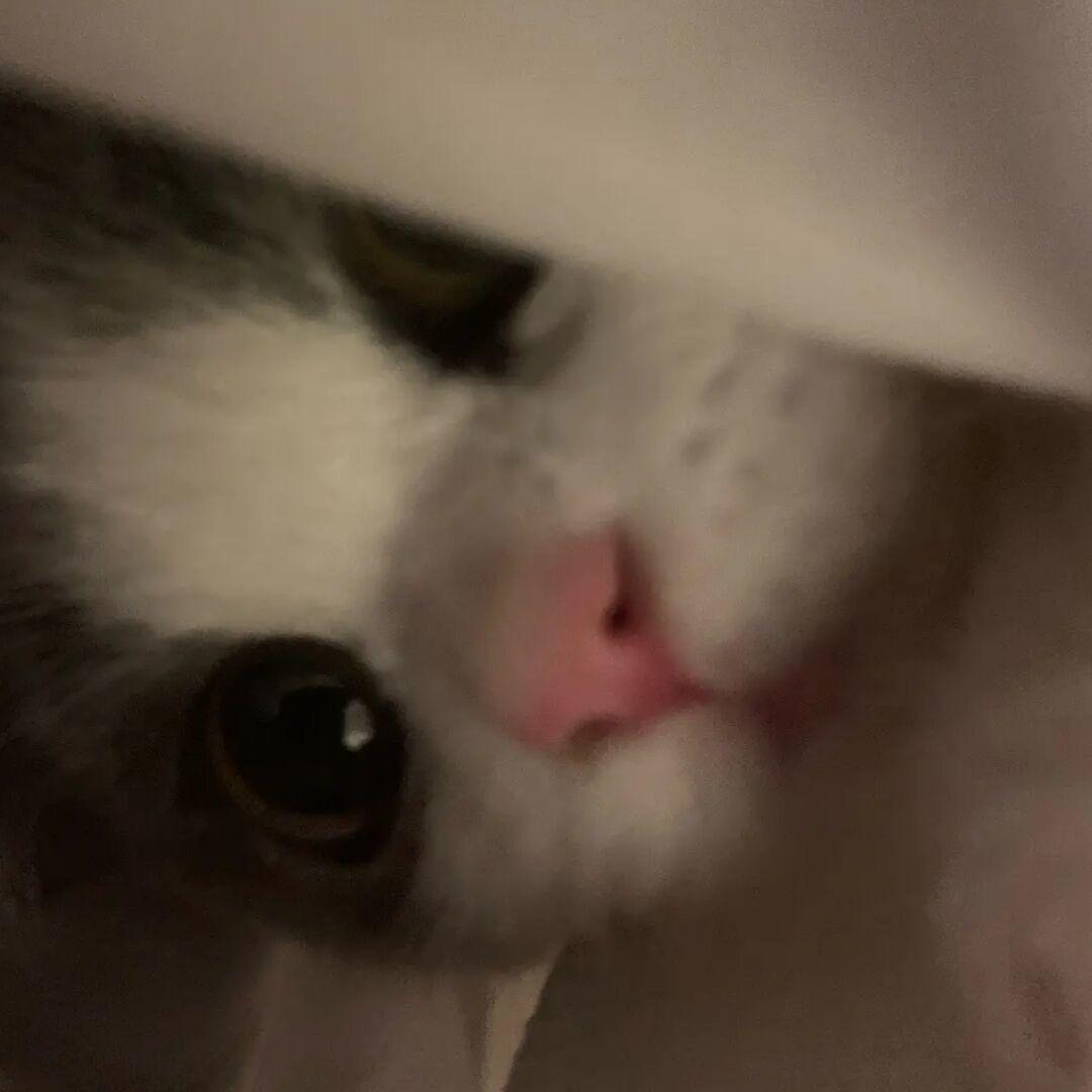 R 的