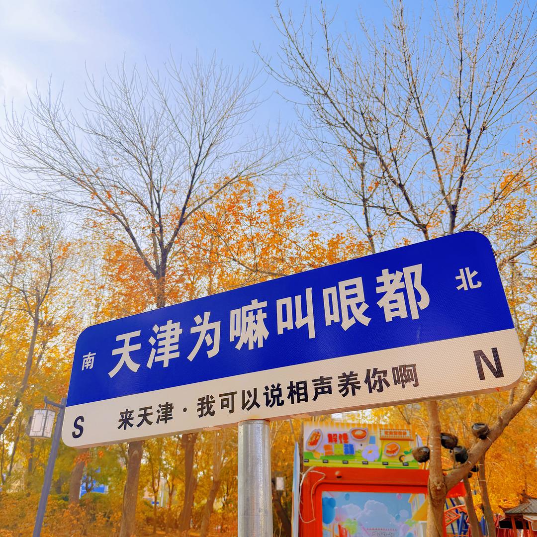 Mr司先生头像