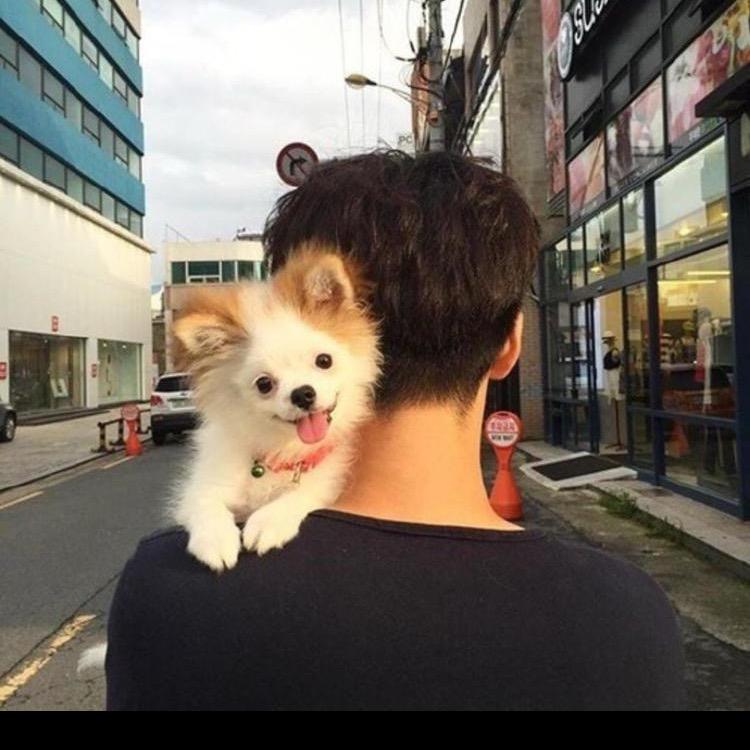 吴烦恼~