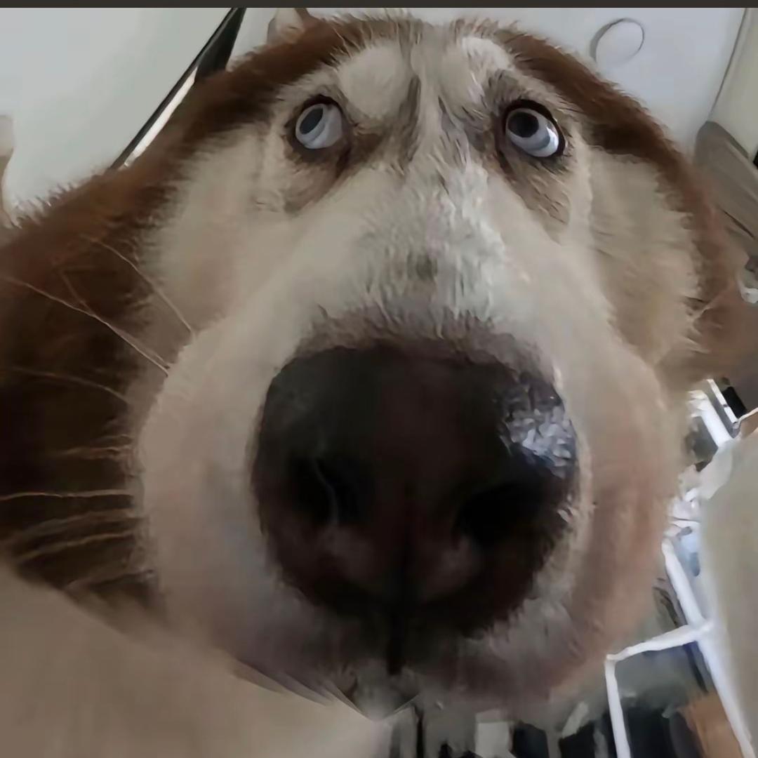 什么时候出去丸