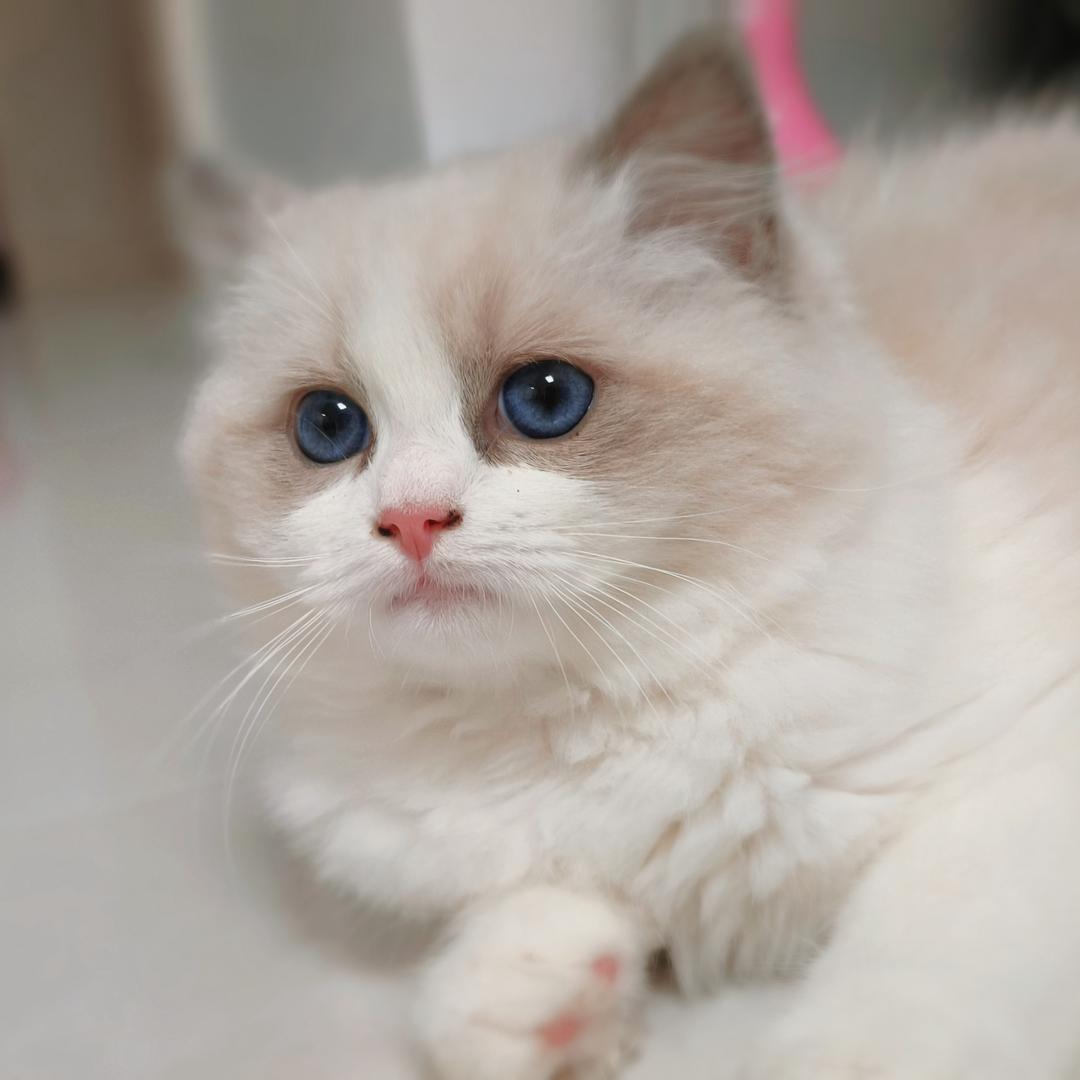 健康且快乐生活