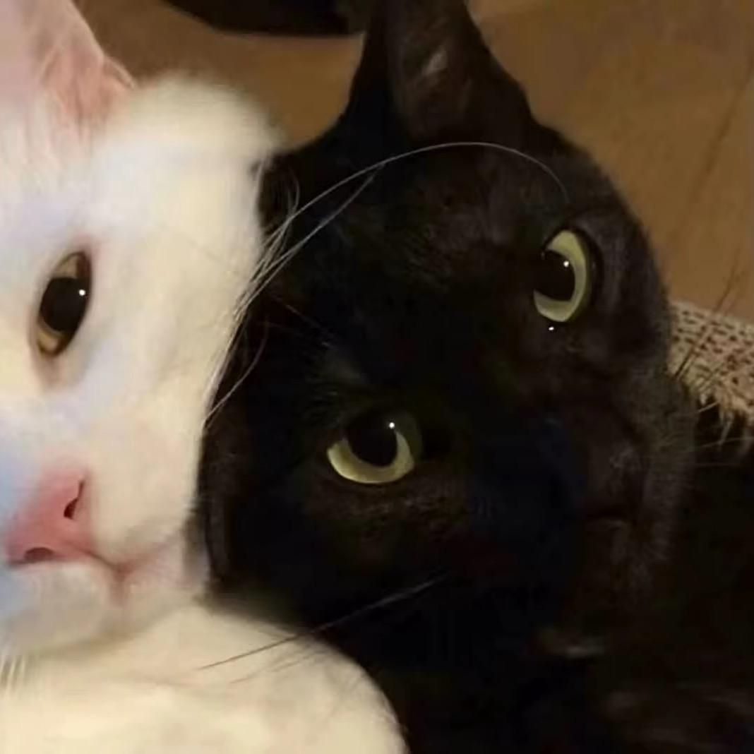 抑郁的草莓蛋糕