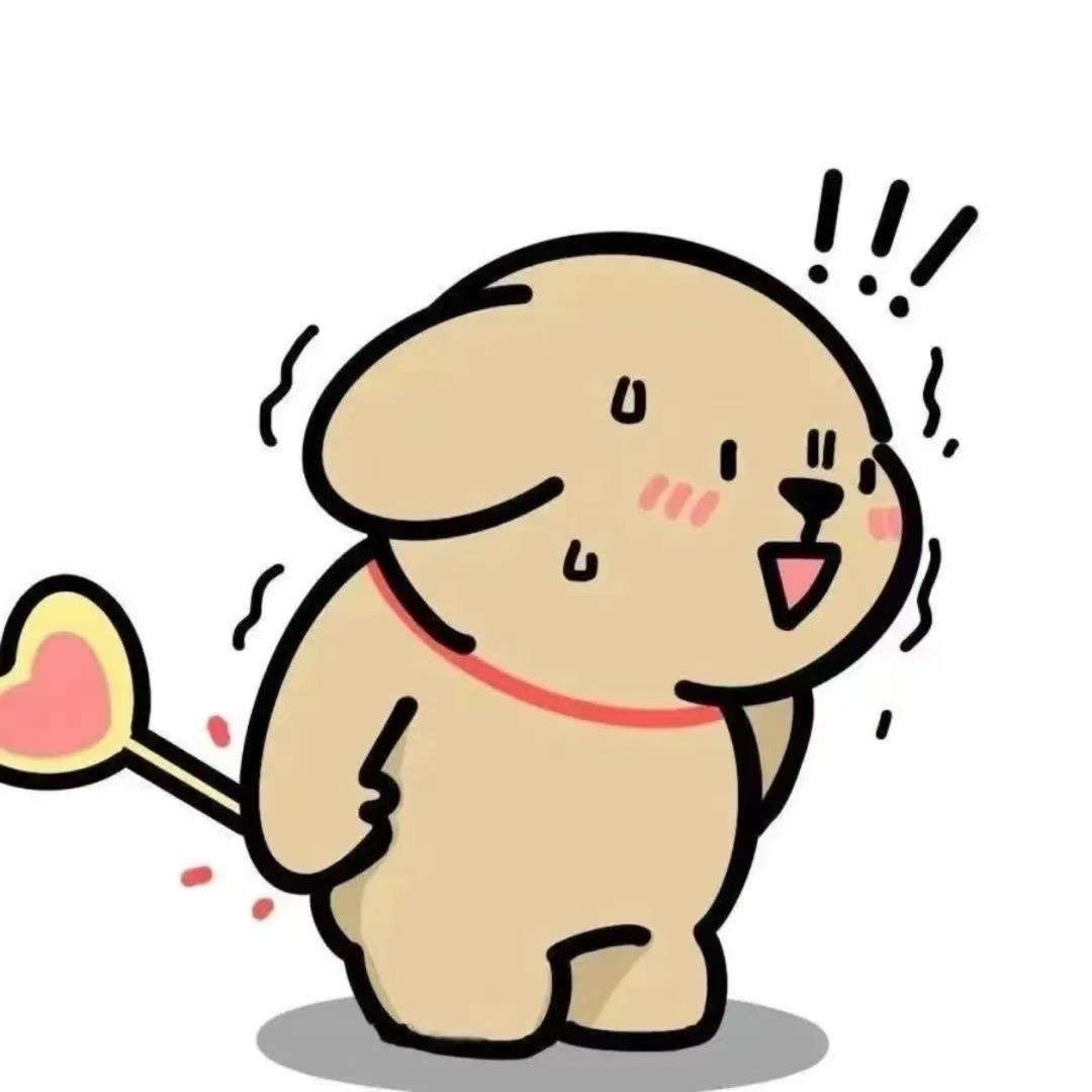 小w的帕萨特.