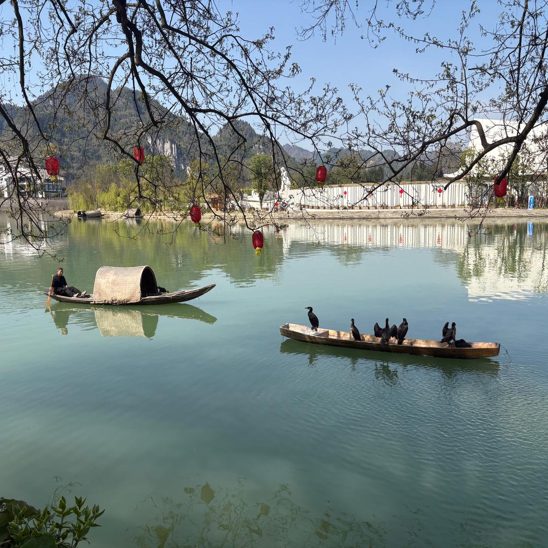 玲珑骰子寄相思