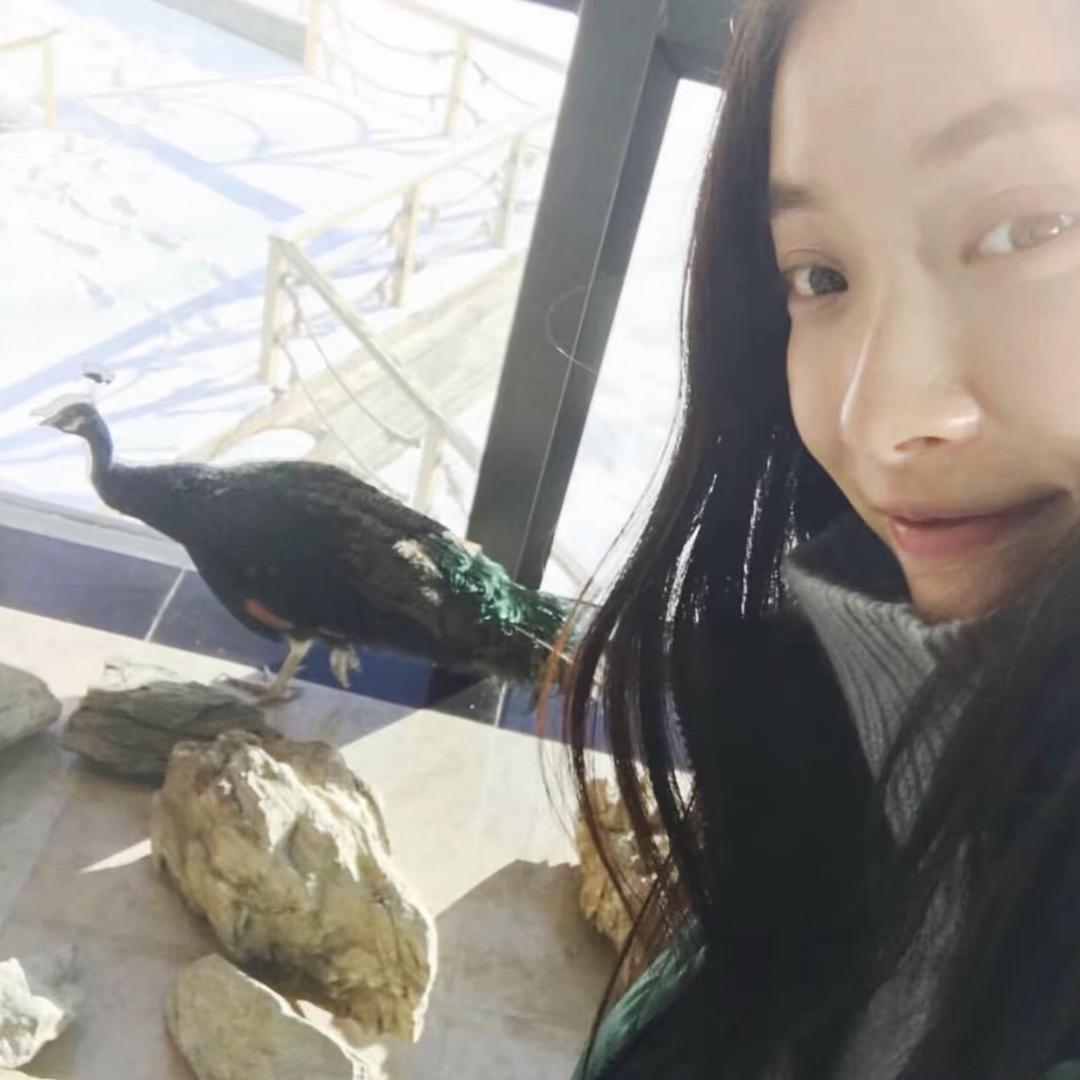 掉了颗兔牙