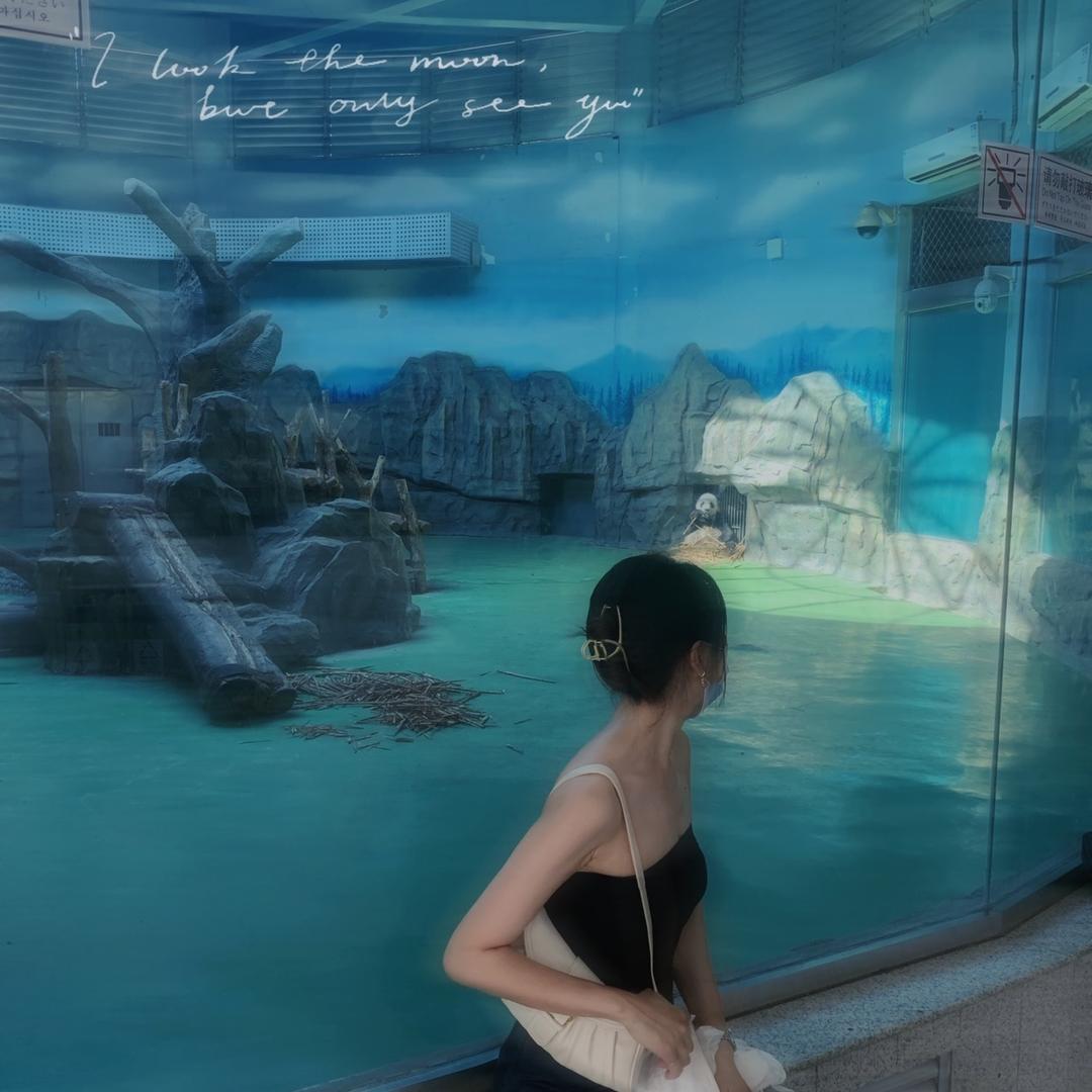 我不吃芒果