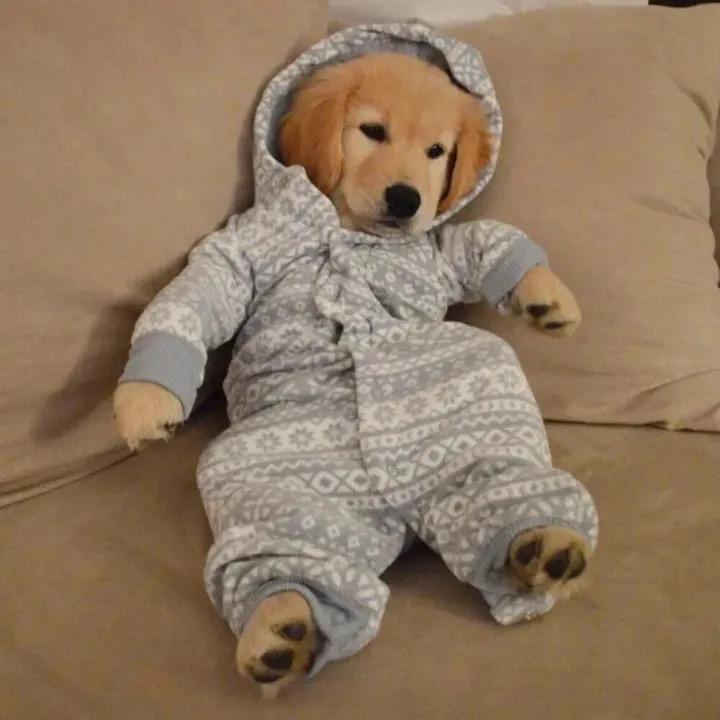 长眠不醒