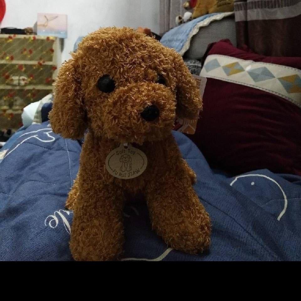 静静的等待