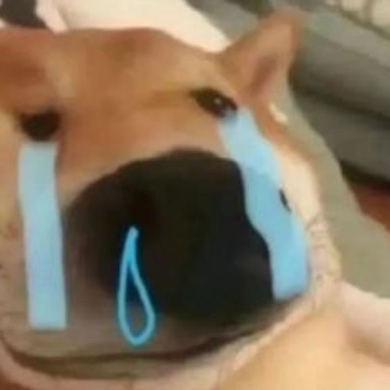 我是不是我我真的是不是我