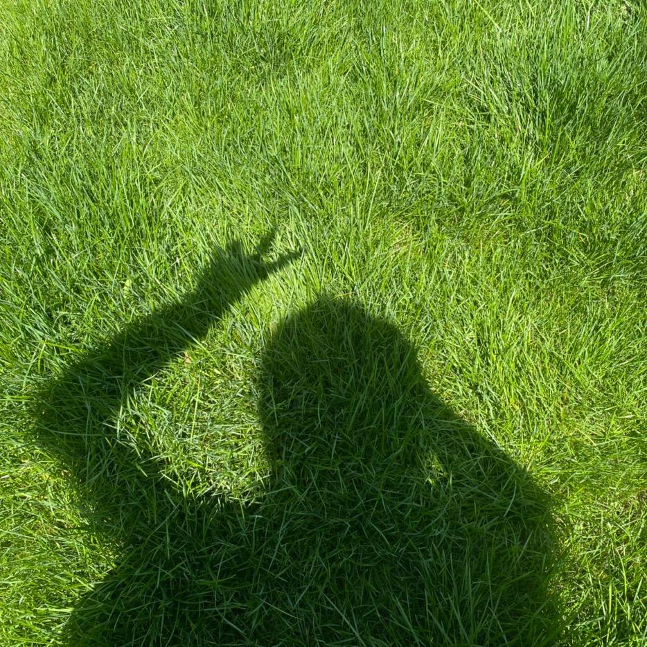 小刘同学 o(*≧▽≦)